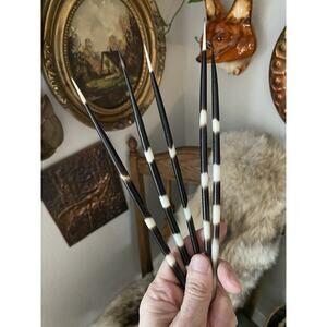 South Africa Porcupine Quills FAT 10” Quills, 5 Pieces
